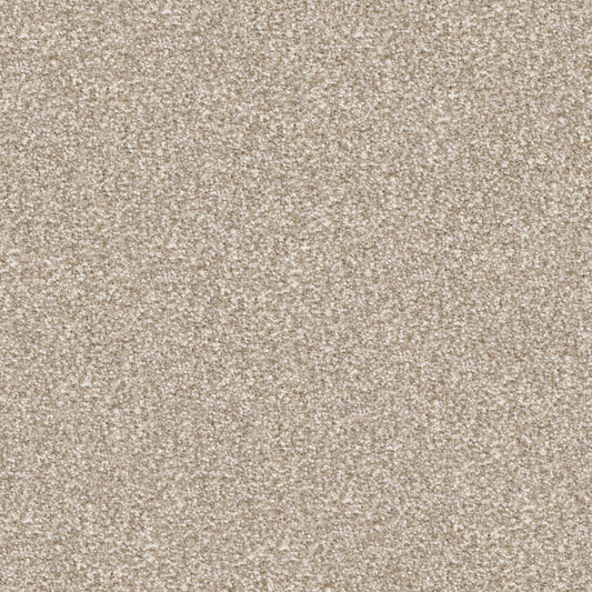 Tracker in Sandy Carpet