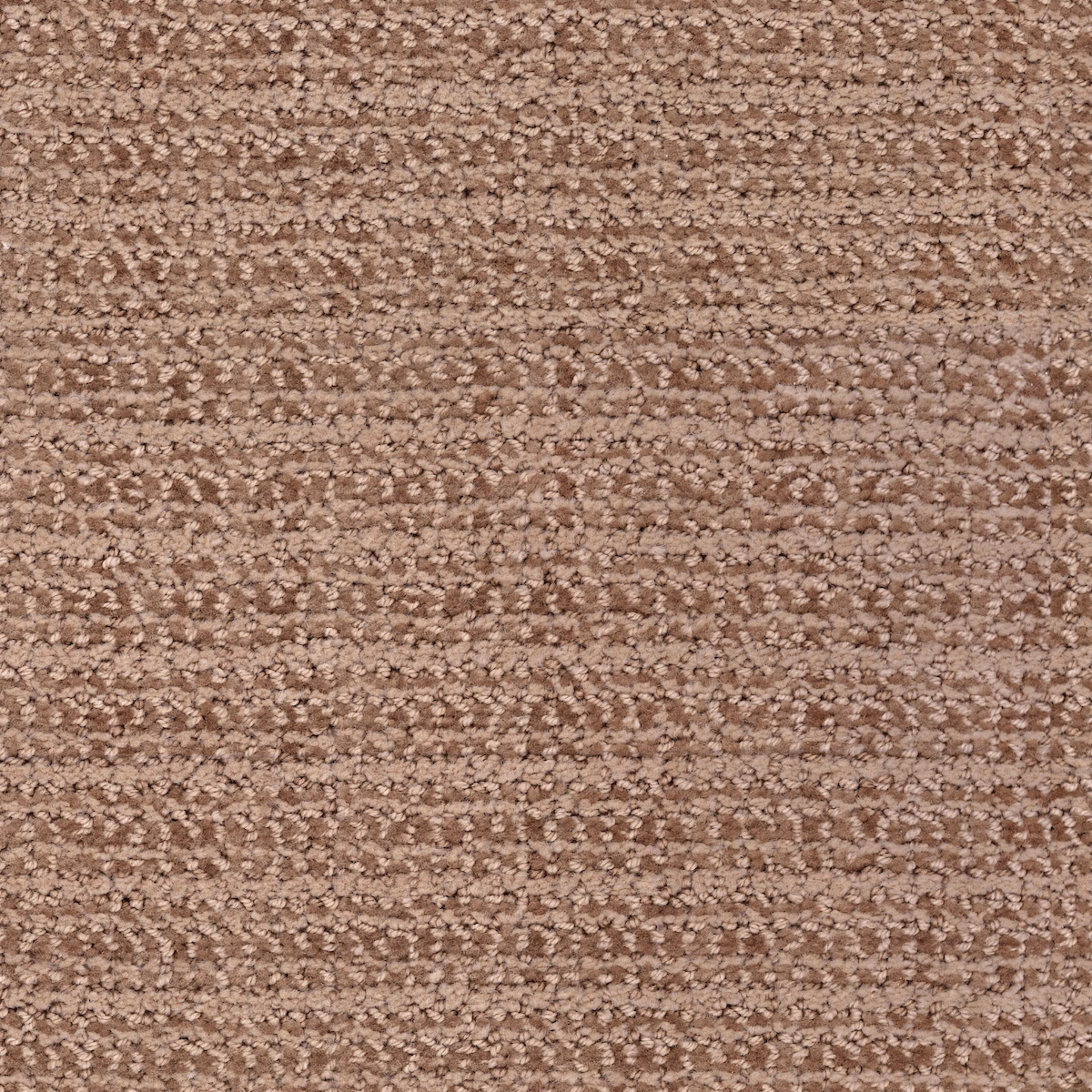 Beguiling in New Penny Carpet