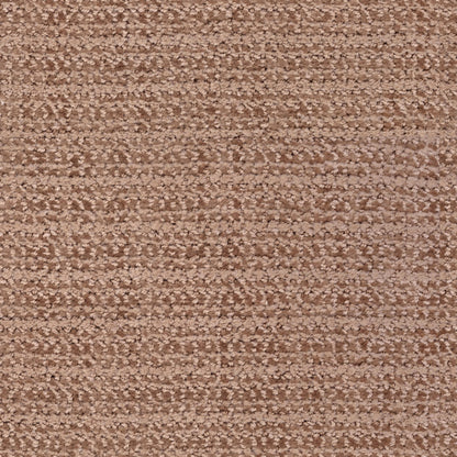 Beguiling in New Penny Carpet