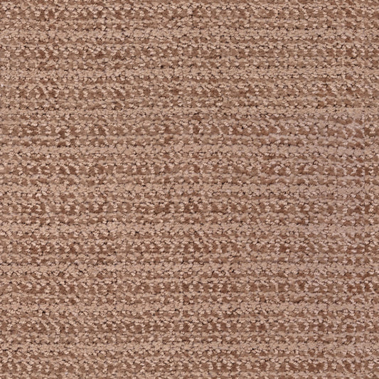 Beguiling in New Penny Carpet