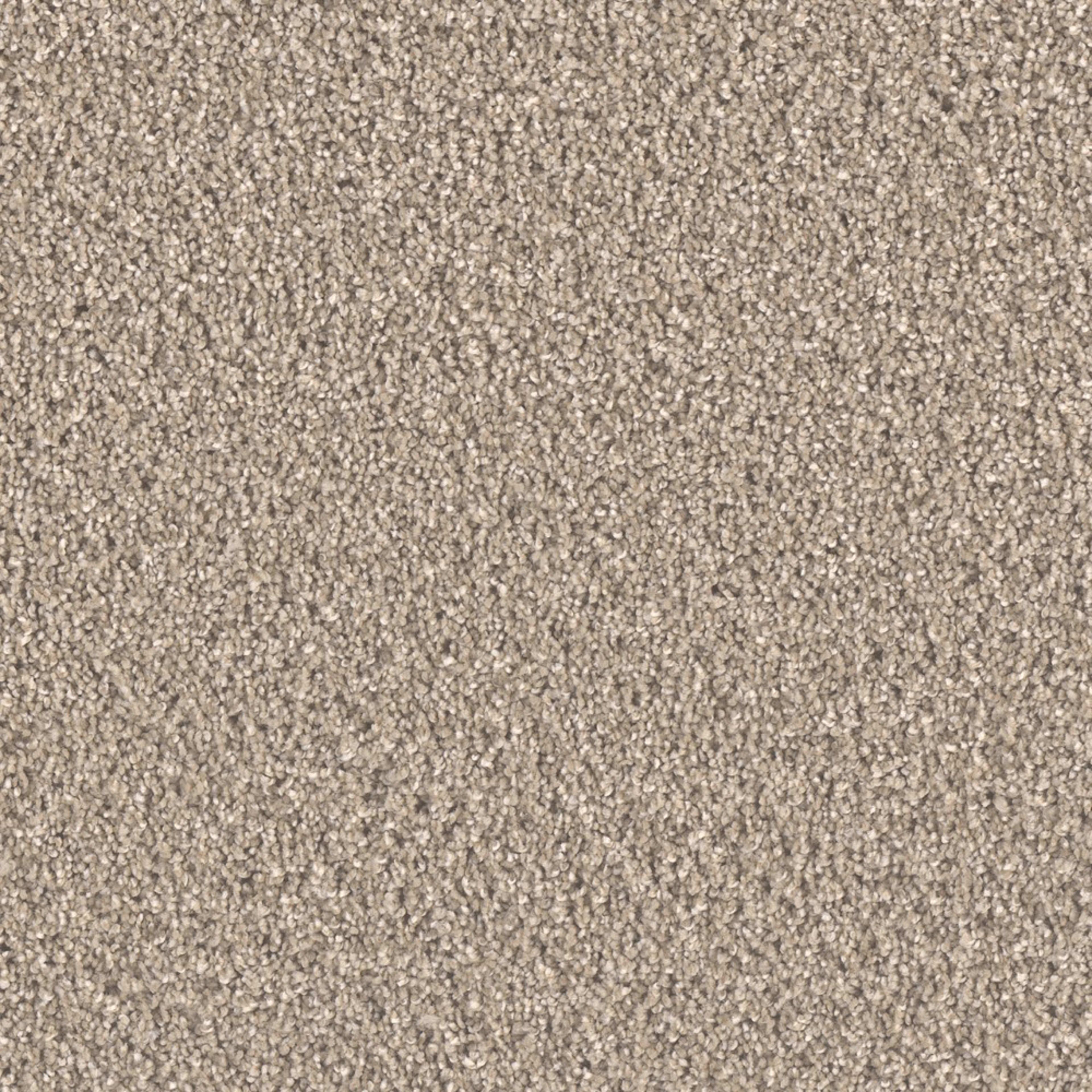 Brooklyn in Tumbleweed Carpet
