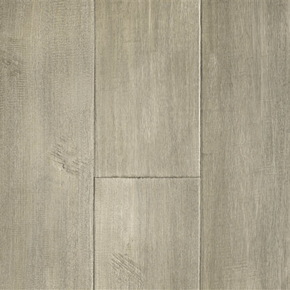 Abella Acacia in Artful