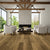 Abella Acacia in Lively Hardwood
