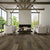Abella Acacia in Narratives Hardwood