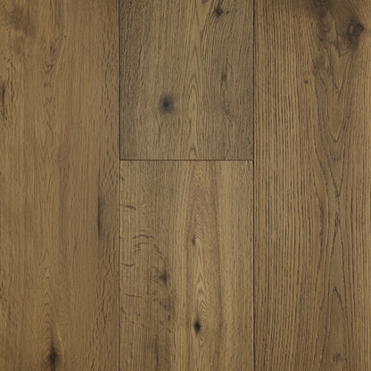 Adela Oak in Vivid Beginnings