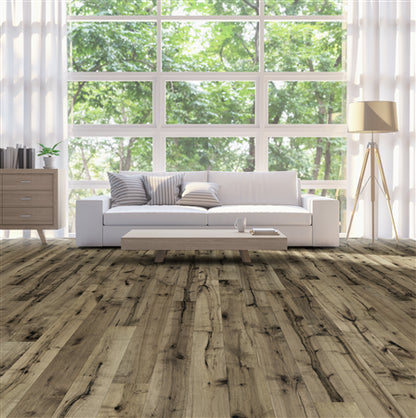 Allegra Maple in Clarity  Hardwood