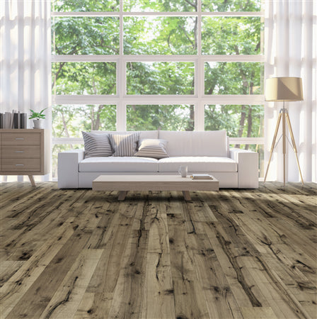 Allegra Maple in Clarity  Hardwood