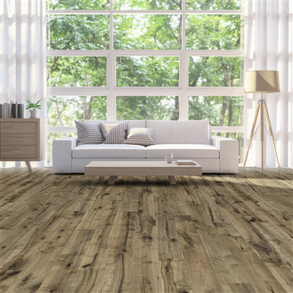 Allegra Maple in Refined  Hardwood
