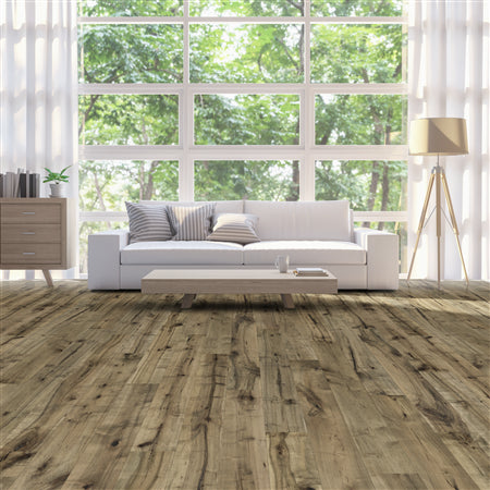 Allegra Maple in Refined  Hardwood