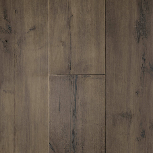 Allegra Maple in Vistas Hardwood