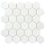 The Finish Line in Hive Regency White Natural Stone