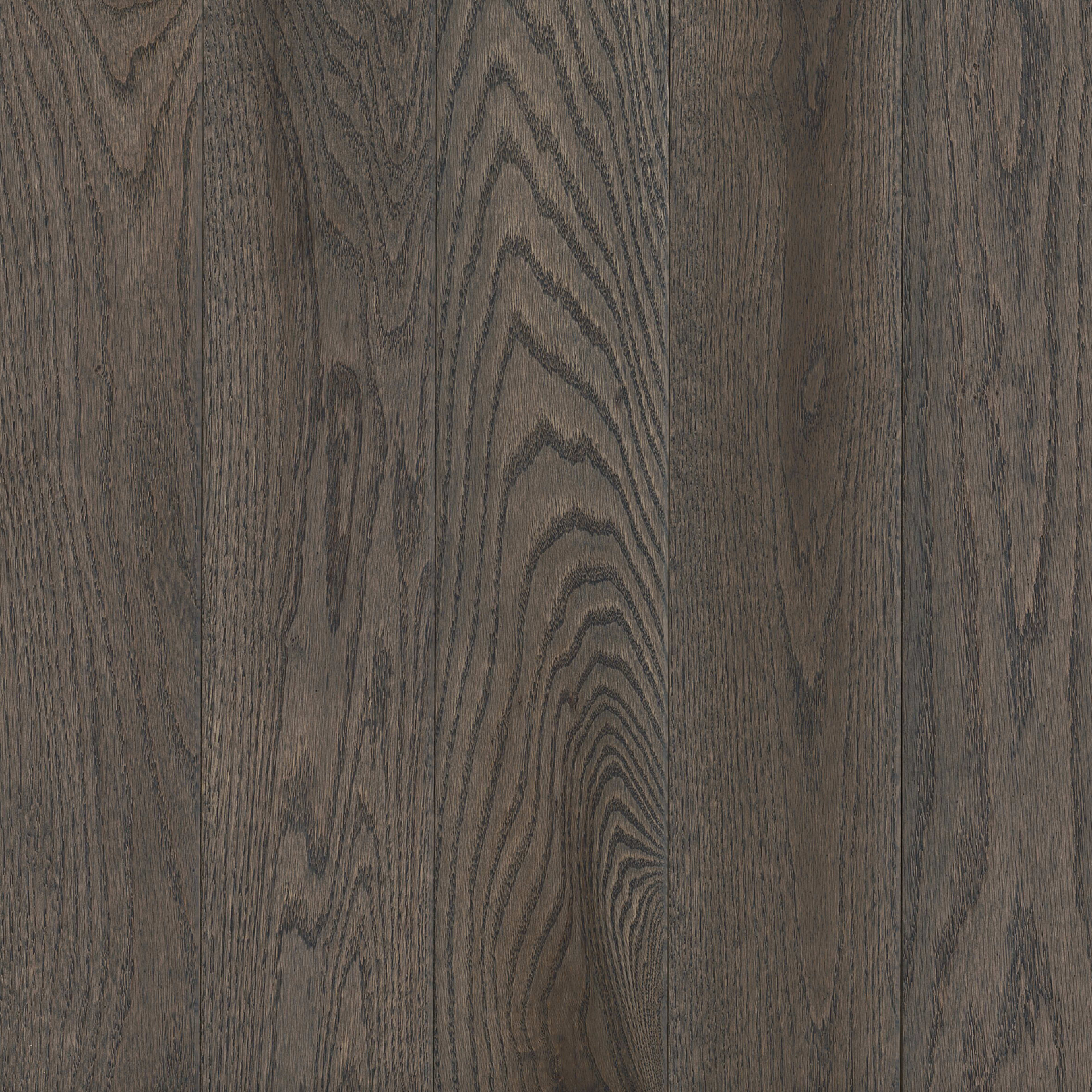 Prime Harvest Red Oak Solid in Oceanside Gray 5" - High Gloss Hardwood