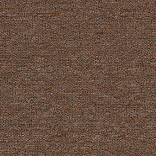Rule Breaker 20 in Chestnut Carpet
