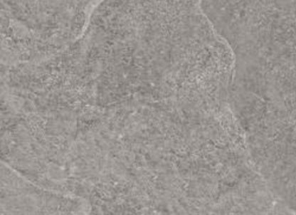 Absolute Slate in Gray