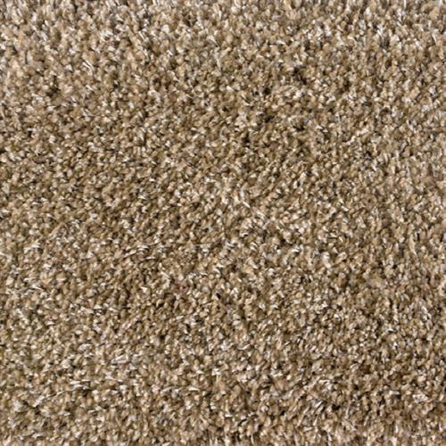 Avantgarde - Shaggy Plush in Sand