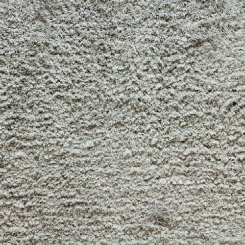 Avantgarde - Shaggy Posh in Silver Carpet