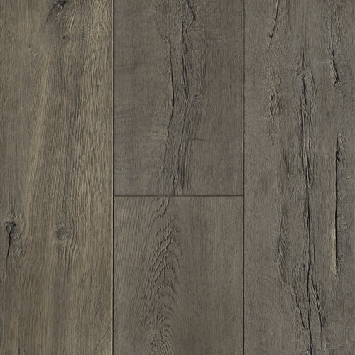 Anew Oak in Transformed  Hardwood