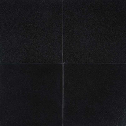 Absolute Black in Absolute Black - 12x12 Natural Stone