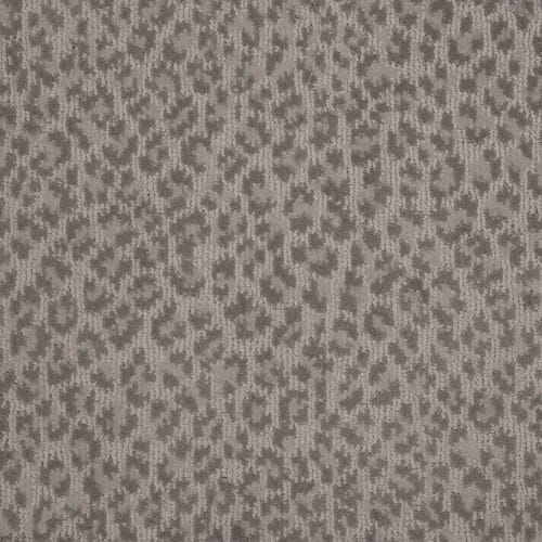 Adventure in Taupe