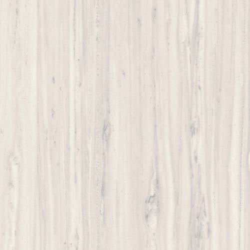 Ainslee Park in Zebrino Taupe
