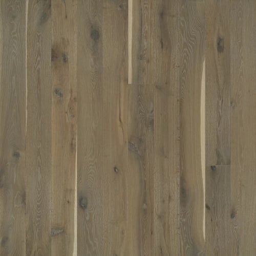 Alta Vista Hardwood in Pismo Oak
