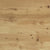 Classics in Amazon Oak Wheat 5.25" Hardwood