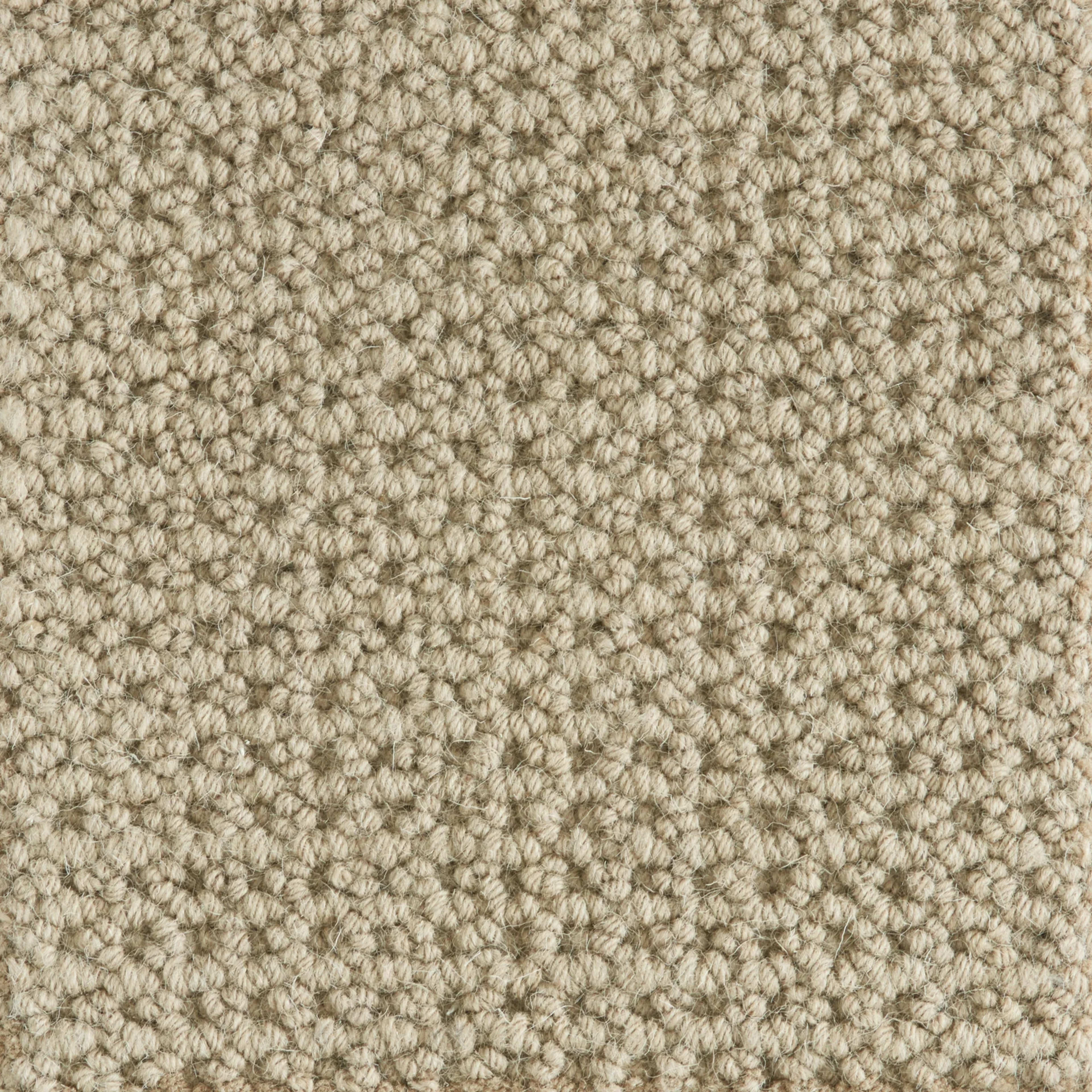 Ankara in Putty Carpet