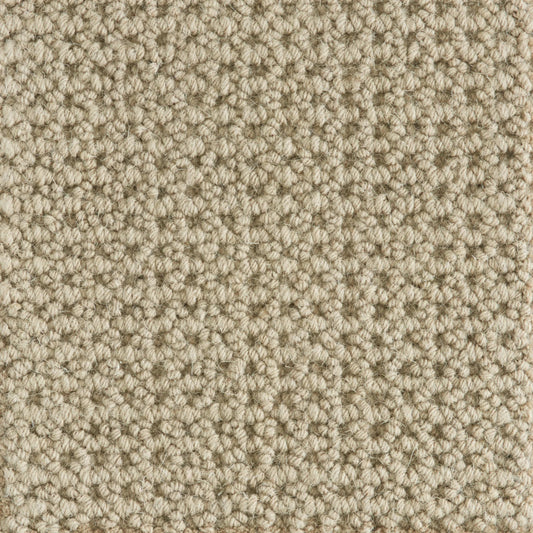 Ankara in Putty Carpet