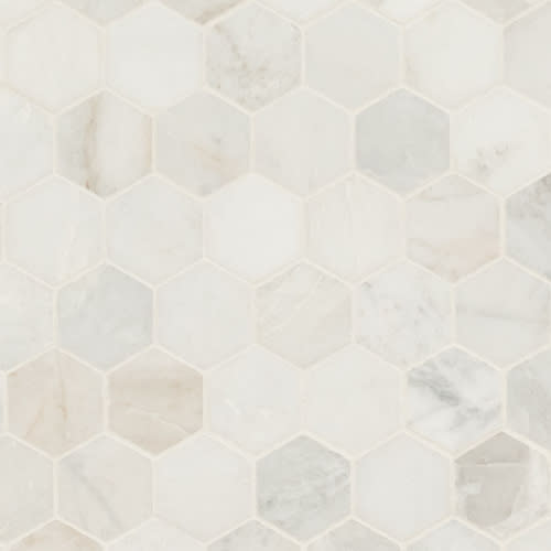 Arabescato Venato White in Arabescato Venato White 2" Hexagon Honed