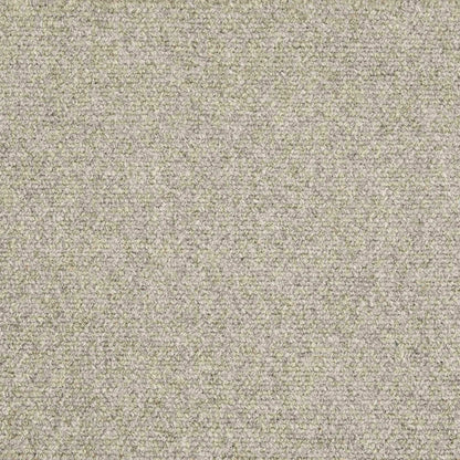 Authentique in Shadow Carpet