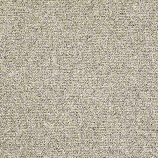 Authentique in Shadow Carpet