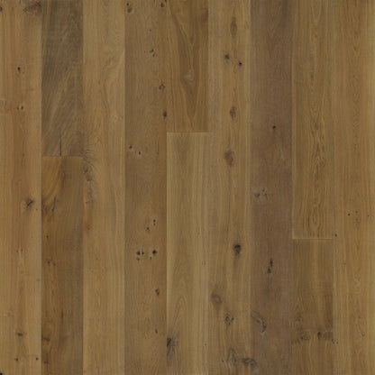 Avenue Collection in Wilshire Oak Hardwood