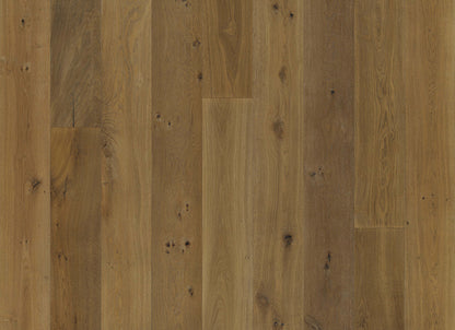 Avenue Collection in Wilshire Oak