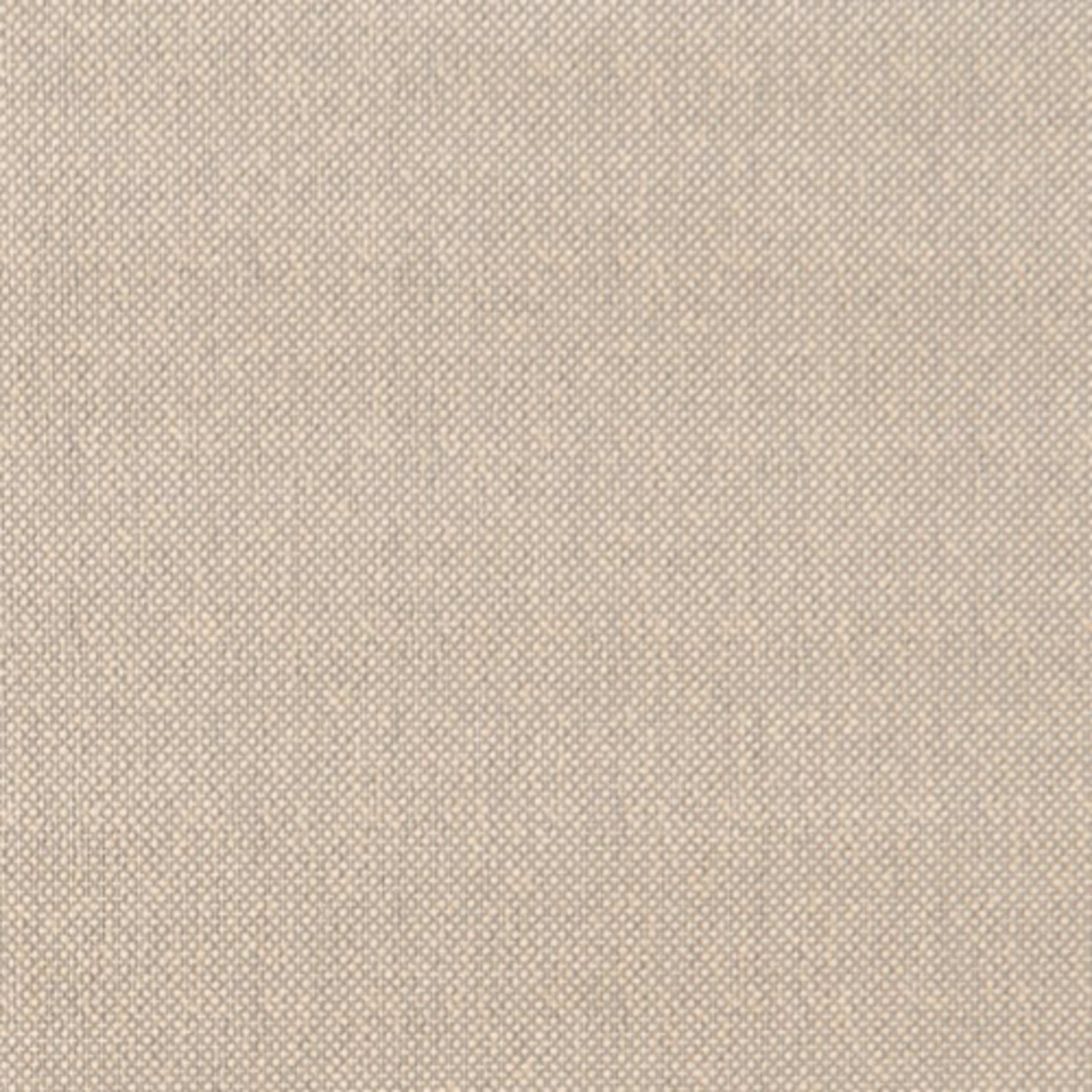 Allister in Mineral Carpet