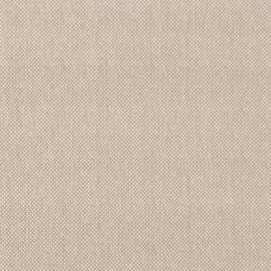 Allister in Mineral Carpet