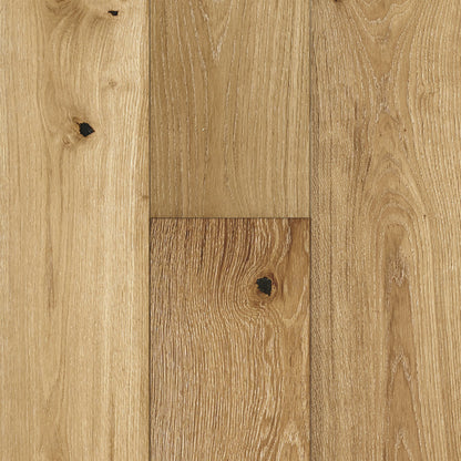 Bliss Oak in New Dawn