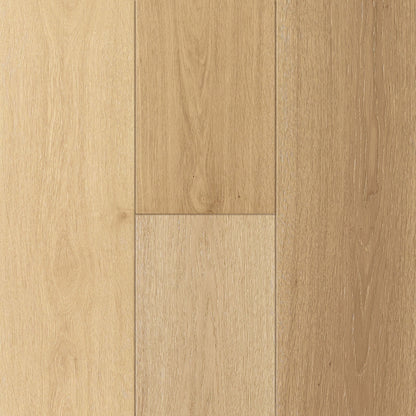 Bliss Oak in Pale Splendor