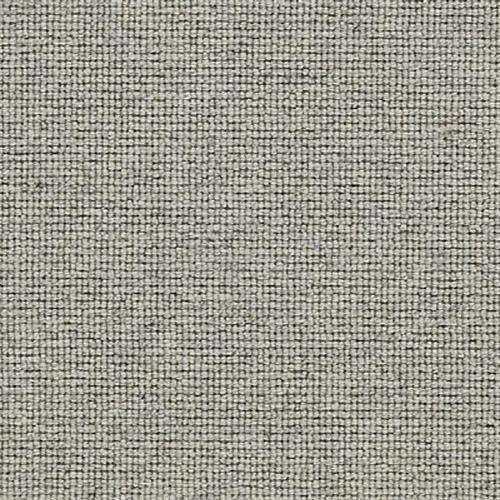 Brookfield in Milestone Carpet