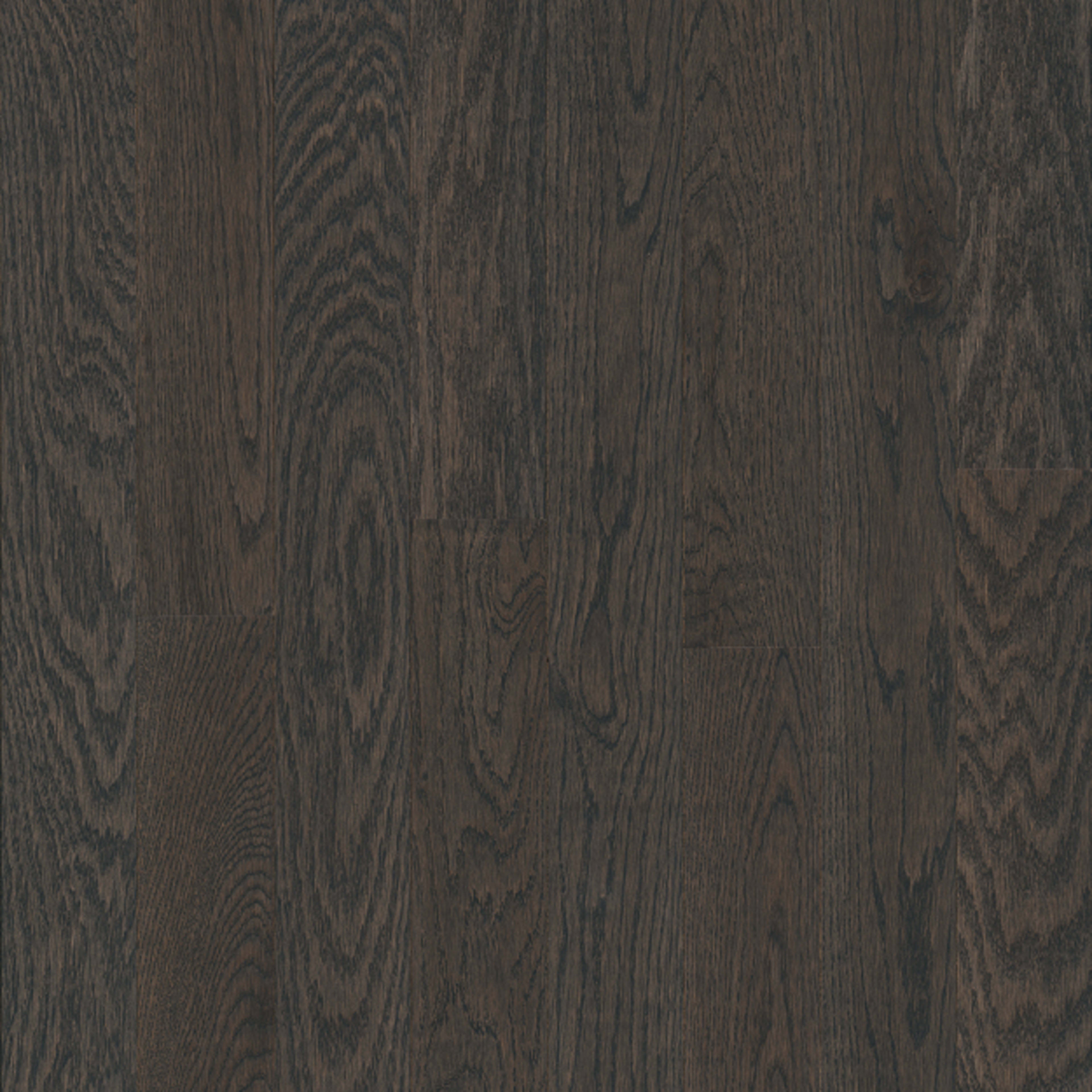 Yorkshire White Oak Solid in Mist Hardwood