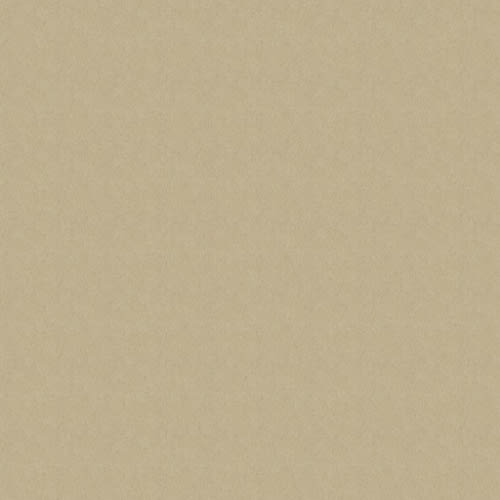 Iconic Look II in Bare Essence