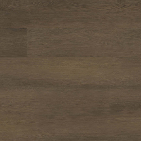 Ashton 2.0 in Beckley Bruno Luxury Vinyl