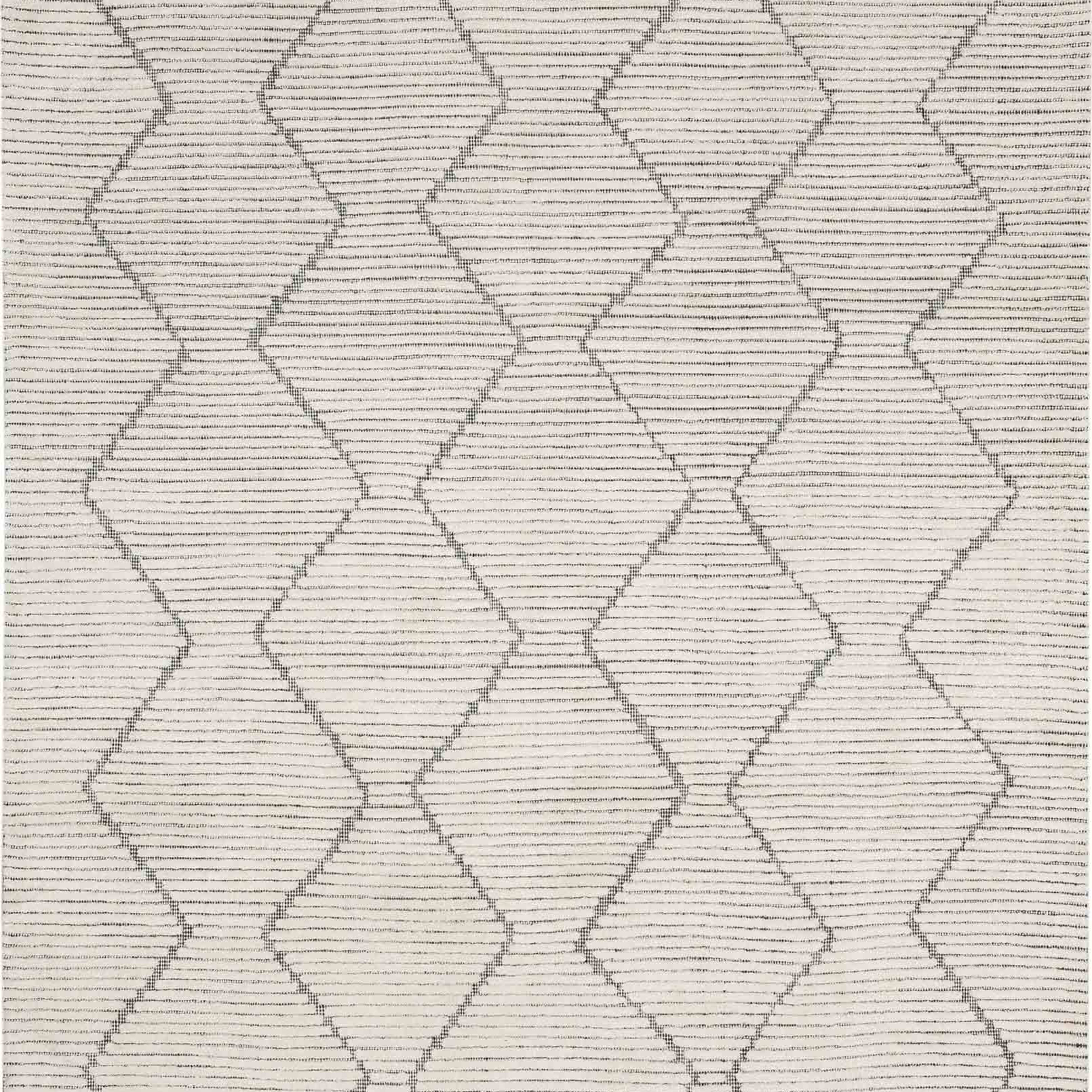 Beni Black/White in Black/White 8'X10' Area Rugs