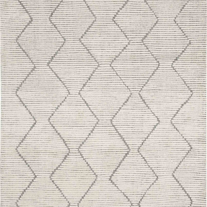 Beni Black/White in Black/White 8'X10' Area Rugs