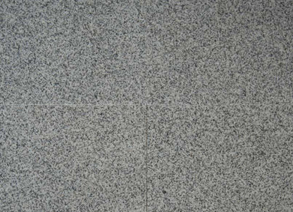 Bianco Catalina in Bianco Catalina - 12x12
