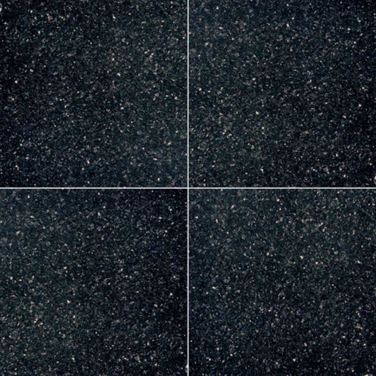 Black Galaxy in Black Galaxy - 18x18 Natural Stone