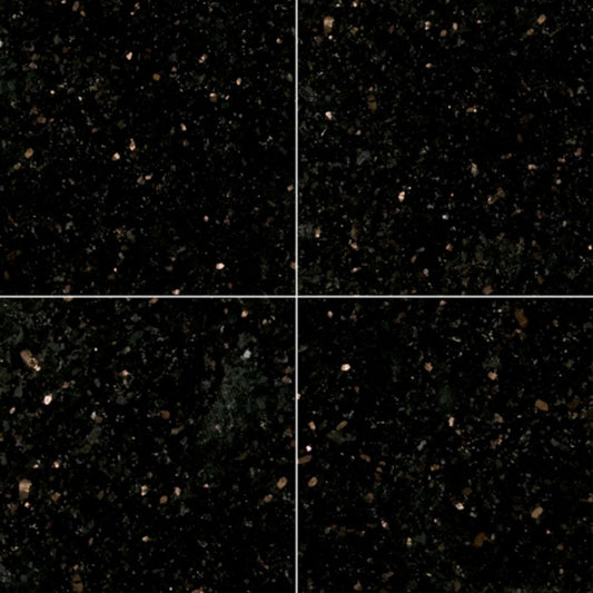 Black Galaxy in Black Galaxy - 24x24 Natural Stone