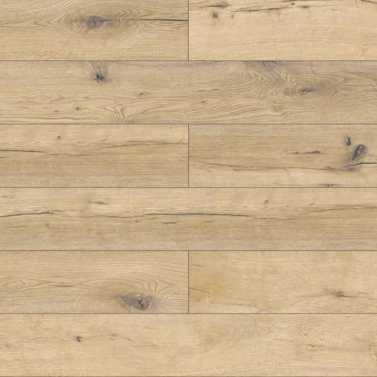 Visions in Buckthorn Laminate
