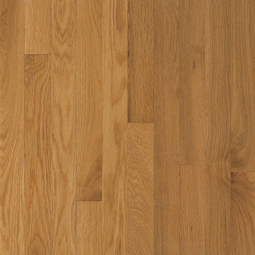 Waltham White Oak Solid in Cornsilk 2.25" Hardwood