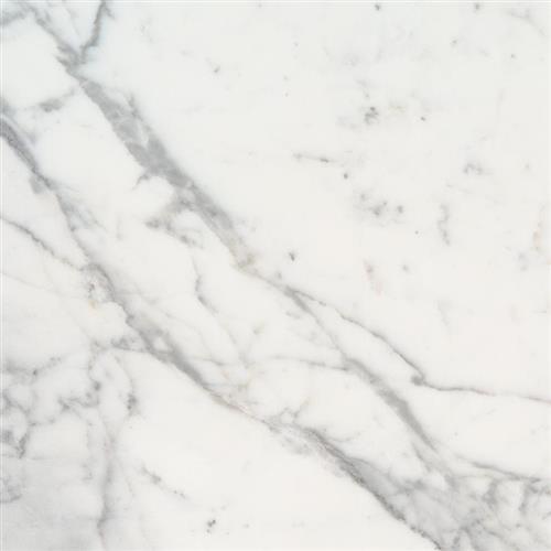 Calacatta Marble in Calacatta Marble - 3x6 Natural Stone