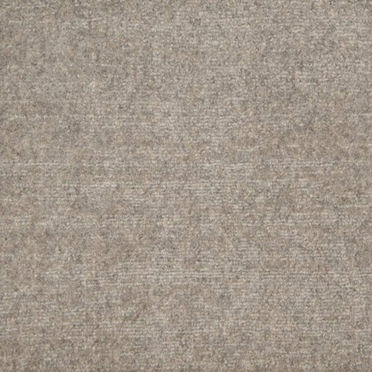 Cambria in Shadow Carpet